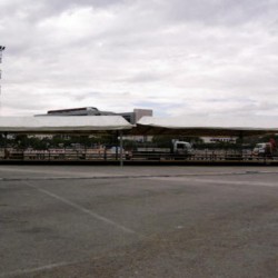 PALCO PORTATORI DI HANDICAP